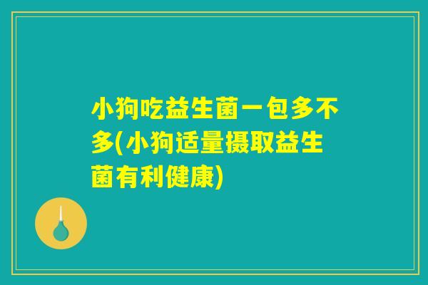 小狗吃益生菌一包多不多(小狗适量摄取益生菌有利健康)