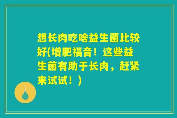 想长肉吃啥益生菌比较好(增肥福音!这些益生菌有助于长肉,赶紧来试试!) 想长肉吃啥益生菌比较好(增肥福音!这些益生菌有助于长肉,赶紧来试试!)