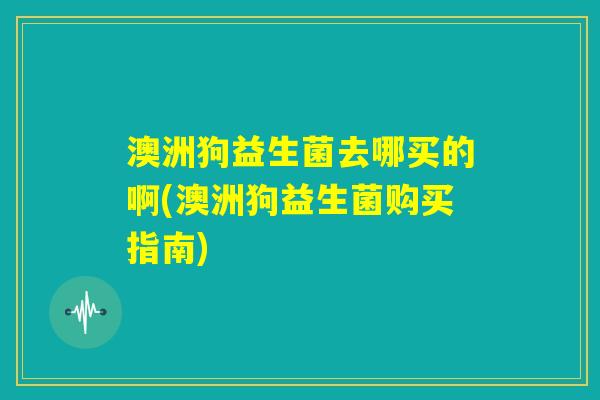 澳洲狗益生菌去哪买的啊(澳洲狗益生菌购买指南)