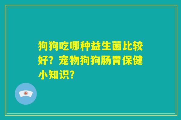 狗狗吃哪种益生菌比较好？宠物狗狗肠胃保健小知识？