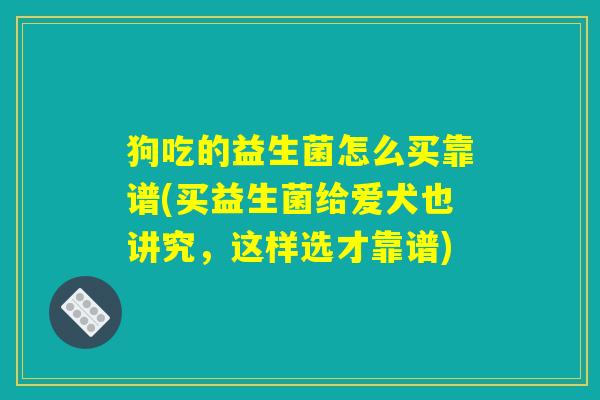 狗吃的益生菌怎么买靠谱(买益生菌给爱犬也讲究,这样选才靠谱) 狗吃的益生菌怎么买靠谱(买益生菌给爱犬也讲究,这样选才靠谱)