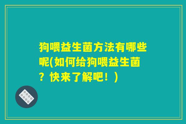 狗喂益生菌方法有哪些呢(如何给狗喂益生菌？快来了解吧！)