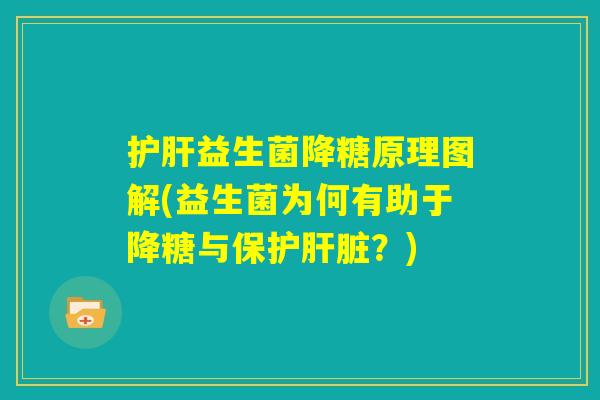 护肝益生菌降糖原理图解(益生菌为何有助于降糖与保护肝脏？)