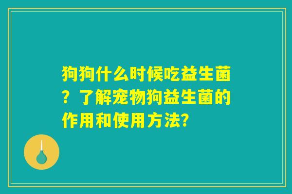 狗狗什么时候吃益生菌？了解宠物狗益生菌的作用和使用方法？