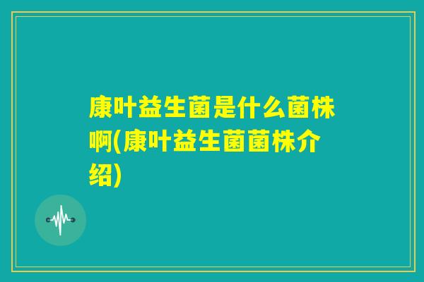 康叶益生菌是什么菌株啊(康叶益生菌菌株介绍)