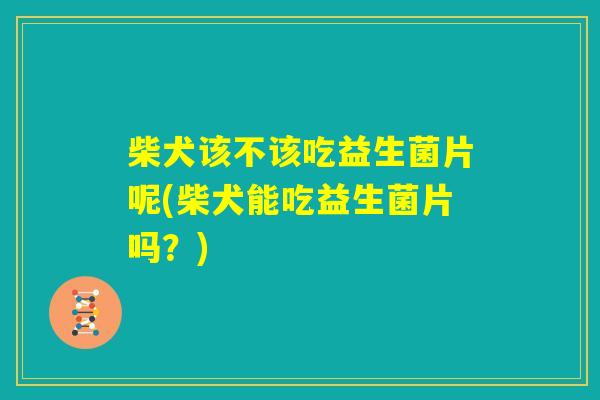 柴犬该不该吃益生菌片呢(柴犬能吃益生菌片吗？)