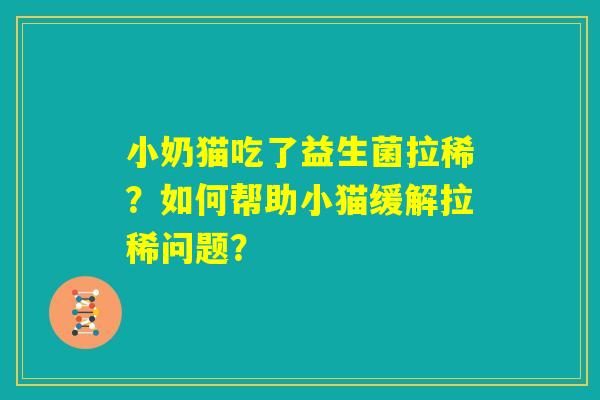 小奶猫吃了益生菌拉稀？如何帮助小猫缓解拉稀问题？