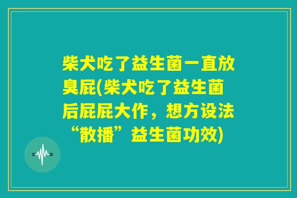 柴犬吃了益生菌一直放臭屁(柴犬吃了益生菌后屁屁大作，想方设法“散播”益生菌功效)