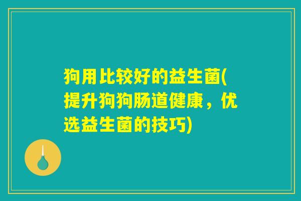 狗用比较好的益生菌(提升狗狗肠道健康，优选益生菌的技巧)