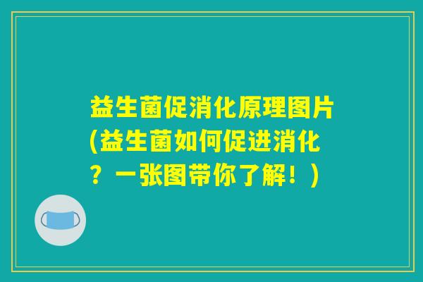 益生菌促消化原理图片(益生菌如何促进消化?一张图带你了解!) 益生菌促消化原理图片(益生菌如何促进消化?一张图带你了解!)