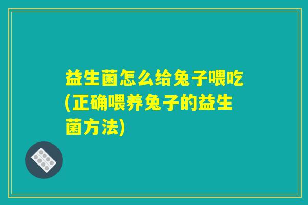 益生菌怎么给兔子喂吃(正确喂养兔子的益生菌方法) 益生菌怎么给兔子喂吃(正确喂养兔子的益生菌方法)