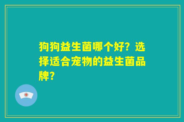狗狗益生菌哪个好?选择适合宠物的益生菌品牌? 狗狗益生菌哪个好?选择适合宠物的益生菌品牌?