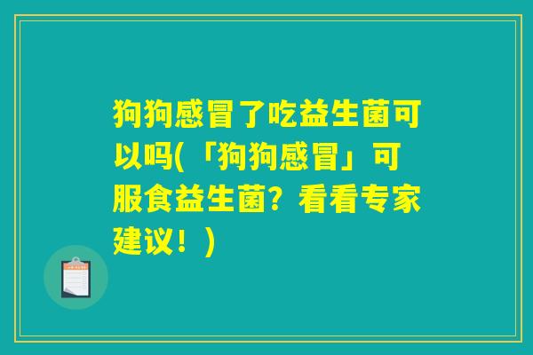狗狗感冒了吃益生菌可以吗(「狗狗感冒」可服食益生菌？看看专家建议！)
