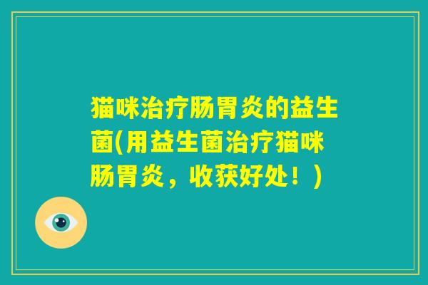猫咪治疗肠胃炎的益生菌(用益生菌治疗猫咪肠胃炎,收获好处!) 猫咪治疗肠胃炎的益生菌(用益生菌治疗猫咪肠胃炎,收获好处!)