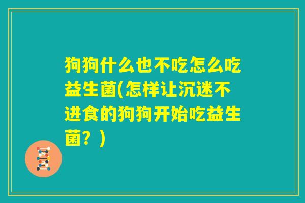 狗狗什么也不吃怎么吃益生菌(怎样让沉迷不进食的狗狗开始吃益生菌?) 狗狗什么也不吃怎么吃益生菌(怎样让沉迷不进食的狗狗开始吃益生菌?)