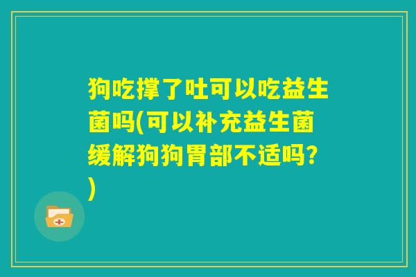 狗吃撑了吐可以吃益生菌吗(可以补充益生菌缓解狗狗胃部不适吗？)