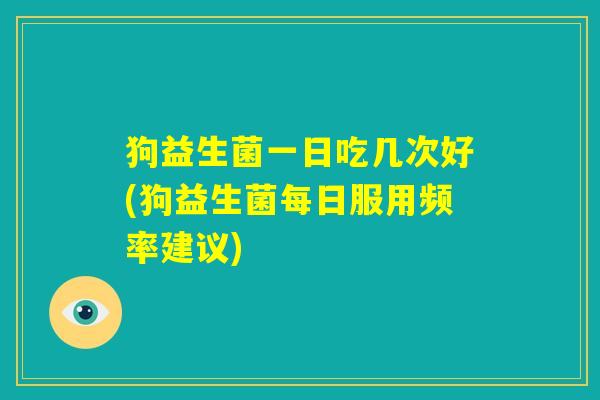 狗益生菌一日吃几次好(狗益生菌每日服用频率建议)