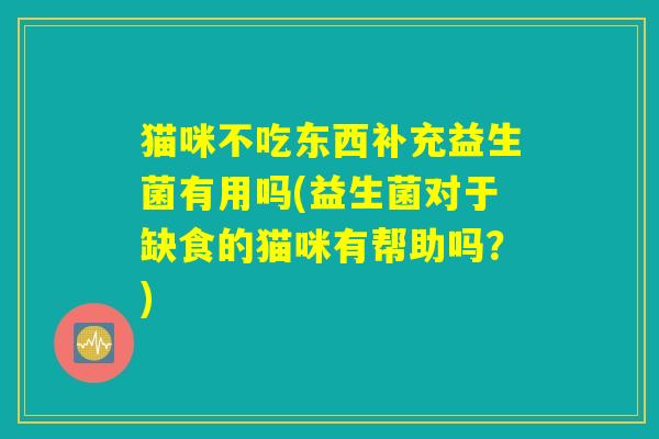 猫咪不吃东西补充益生菌有用吗(益生菌对于缺食的猫咪有帮助吗？)