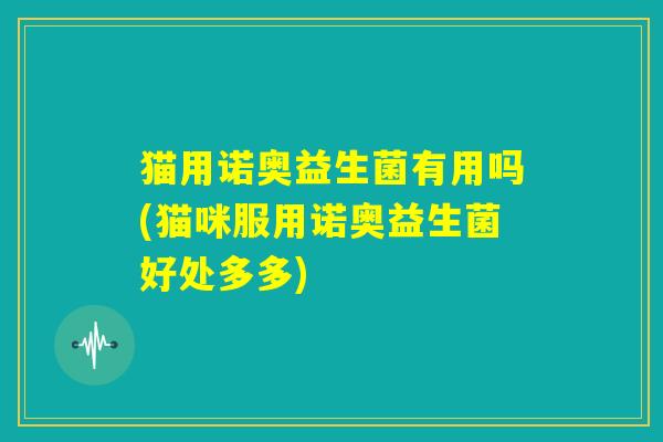 猫用诺奥益生菌有用吗(猫咪服用诺奥益生菌好处多多) 猫用诺奥益生菌有用吗(猫咪服用诺奥益生菌好处多多)