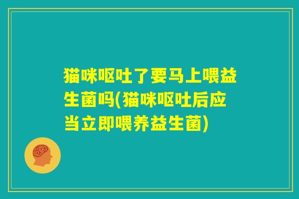 猫咪呕吐了要马上喂益生菌吗(猫咪呕吐后应当立即喂养益生菌) 猫咪呕吐了要马上喂益生菌吗(猫咪呕吐后应当立即喂养益生菌)
