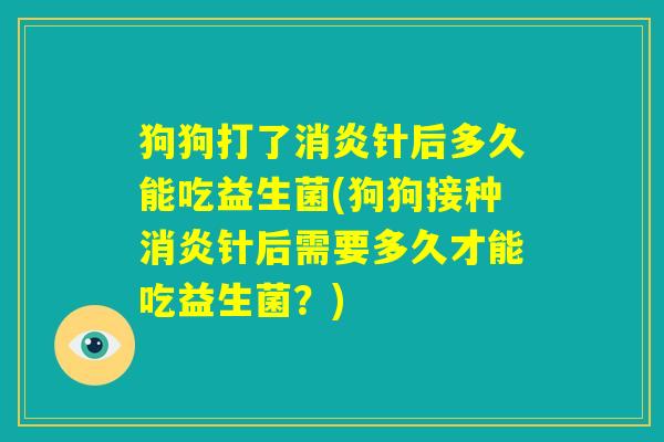狗狗打了消炎针后多久能吃益生菌(狗狗接种消炎针后需要多久才能吃益生菌?) 狗狗打了消炎针后多久能吃益生菌(狗狗接种消炎针后需要多久才能吃益生菌?)