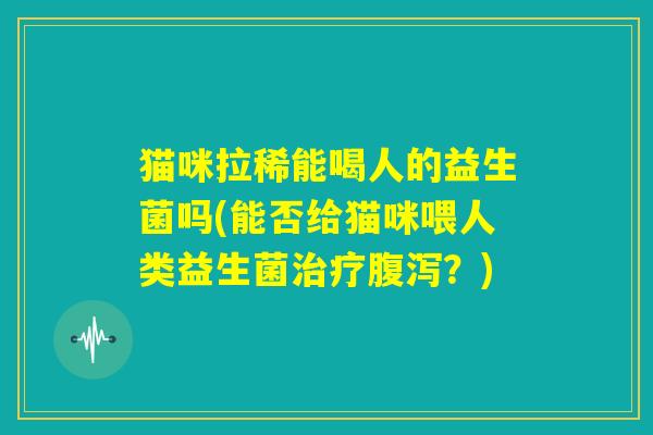 猫咪拉稀能喝人的益生菌吗(能否给猫咪喂人类益生菌治疗腹泻?) 猫咪拉稀能喝人的益生菌吗(能否给猫咪喂人类益生菌治疗腹泻?)