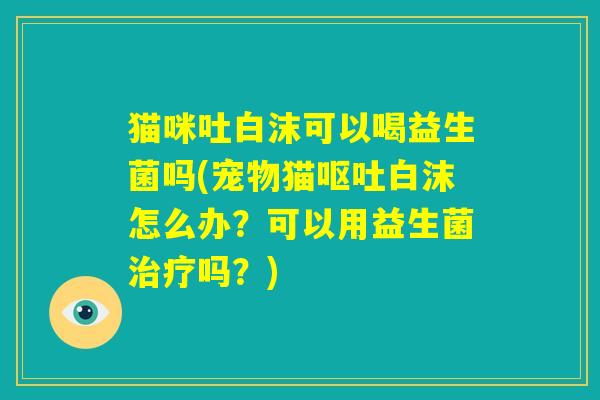 猫咪吐白沫可以喝益生菌吗(宠物猫呕吐白沫怎么办?可以用益生菌治疗吗?) 猫咪吐白沫可以喝益生菌吗(宠物猫呕吐白沫怎么办?可以用益生菌治疗吗?)