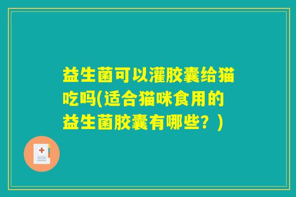 益生菌可以灌胶囊给猫吃吗(适合猫咪食用的益生菌胶囊有哪些？)