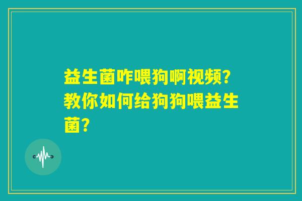 益生菌咋喂狗啊视频？教你如何给狗狗喂益生菌？