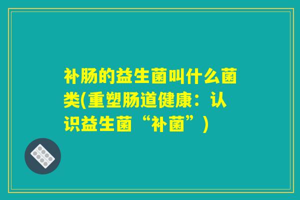 补肠的益生菌叫什么菌类(重塑肠道健康:认识益生菌“补菌”) 补肠的益生菌叫什么菌类(重塑肠道健康:认识益生菌“补菌”)