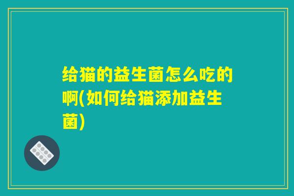 给猫的益生菌怎么吃的啊(如何给猫添加益生菌) 给猫的益生菌怎么吃的啊(如何给猫添加益生菌)
