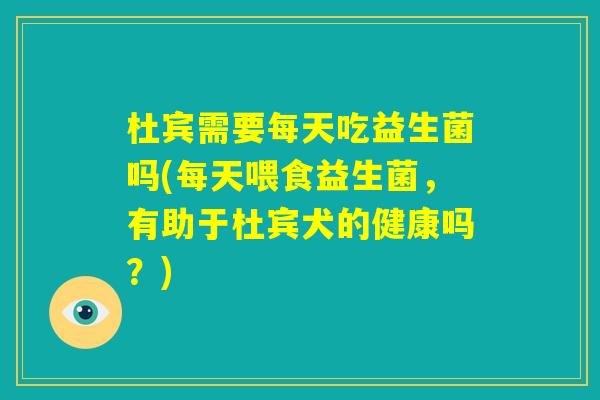 杜宾需要每天吃益生菌吗(每天喂食益生菌,有助于杜宾犬的健康吗?) 杜宾需要每天吃益生菌吗(每天喂食益生菌,有助于杜宾犬的健康吗?)