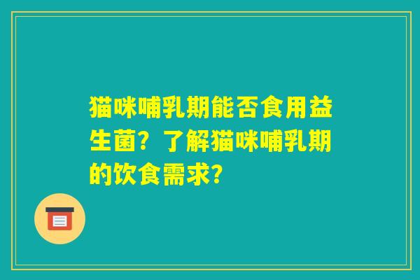 猫咪哺乳期能否食用益生菌？了解猫咪哺乳期的饮食需求？