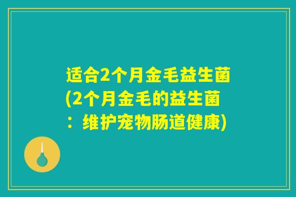 适合2个月金毛益生菌(2个月金毛的益生菌:维护宠物肠道健康) 适合2个月金毛益生菌(2个月金毛的益生菌:维护宠物肠道健康)