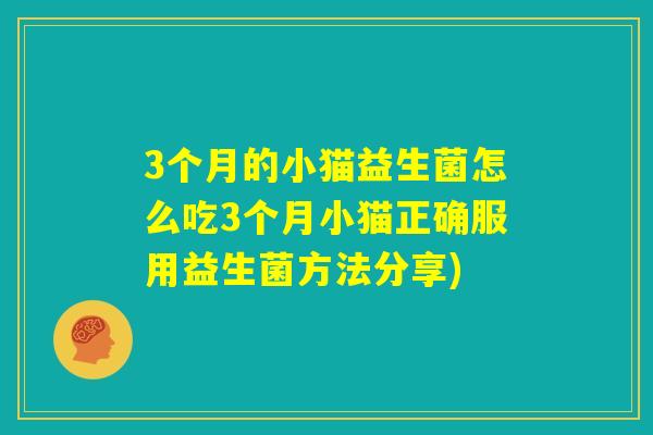3个月的小猫益生菌怎么吃3个月小猫正确服用益生菌方法分享) 3个月的小猫益生菌怎么吃3个月小猫正确服用益生菌方法分享)