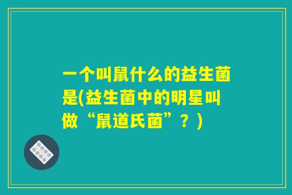 一个叫鼠什么的益生菌是(益生菌中的明星叫做“鼠道氏菌”？)
