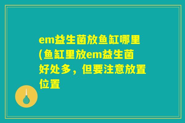 em益生菌放鱼缸哪里(鱼缸里放em益生菌好处多，但要注意放置位置