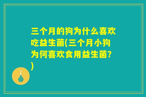 三个月的狗为什么喜欢吃益生菌(三个月小狗为何喜欢食用益生菌？)
