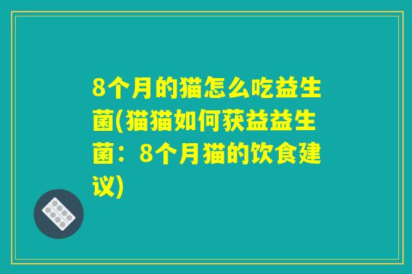 8个月的猫怎么吃益生菌(猫猫如何获益益生菌：8个月猫的饮食建议)