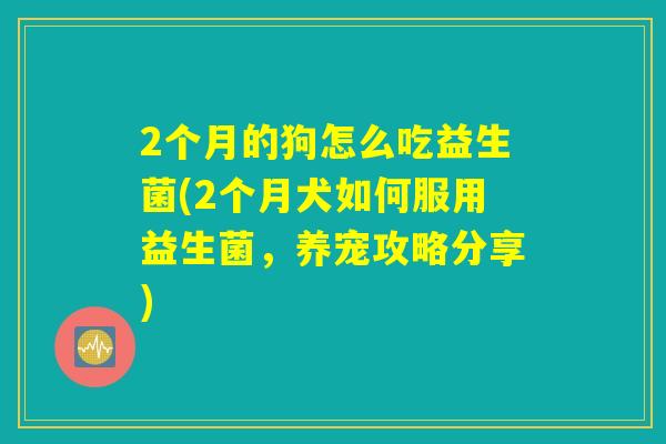 2个月的狗怎么吃益生菌(2个月犬如何服用益生菌,养宠攻略分享) 2个月的狗怎么吃益生菌(2个月犬如何服用益生菌,养宠攻略分享)
