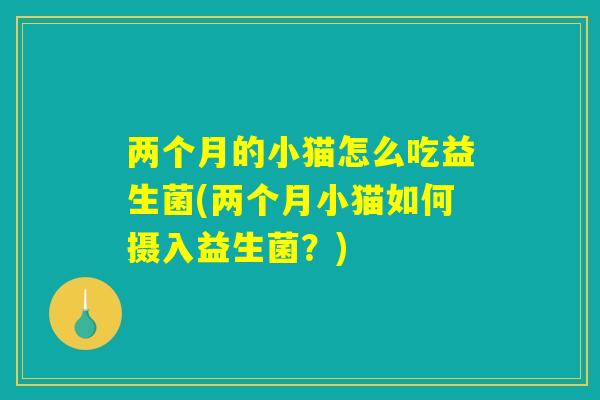 两个月的小猫怎么吃益生菌(两个月小猫如何摄入益生菌？)