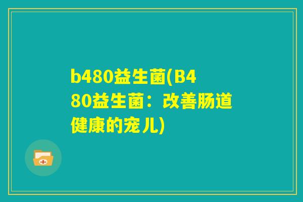 b480益生菌(B480益生菌：改善肠道健康的宠儿)