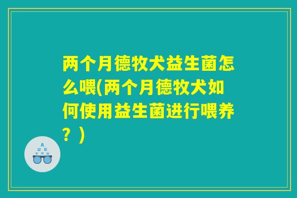 两个月德牧犬益生菌怎么喂(两个月德牧犬如何使用益生菌进行喂养?) 两个月德牧犬益生菌怎么喂(两个月德牧犬如何使用益生菌进行喂养?)
