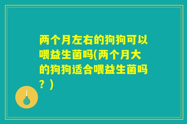 两个月左右的狗狗可以喂益生菌吗(两个月大的狗狗适合喂益生菌吗?) 两个月左右的狗狗可以喂益生菌吗(两个月大的狗狗适合喂益生菌吗?)