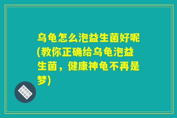 乌龟怎么泡益生菌好呢(教你正确给乌龟泡益生菌,健康神龟不再是梦) 乌龟怎么泡益生菌好呢(教你正确给乌龟泡益生菌,健康神龟不再是梦)