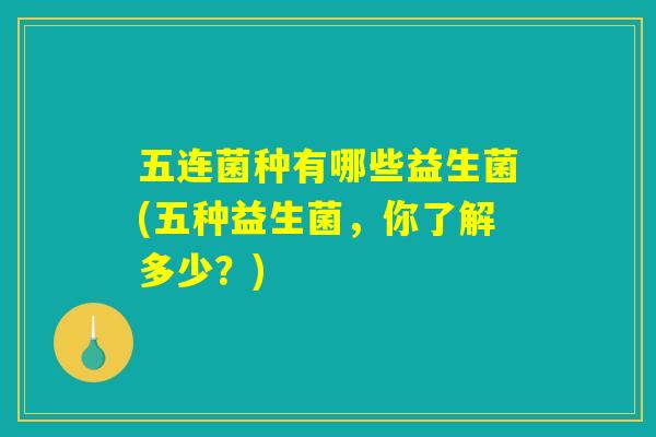 五连菌种有哪些益生菌(五种益生菌，你了解多少？)