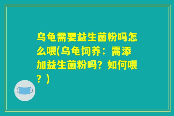 乌龟需要益生菌粉吗怎么喂(乌龟饲养：需添加益生菌粉吗？如何喂？)