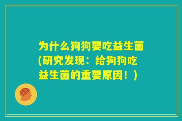 为什么狗狗要吃益生菌(研究发现：给狗狗吃益生菌的重要原因！)