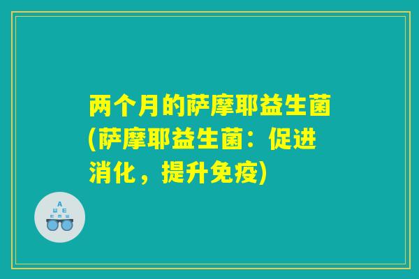 两个月的萨摩耶益生菌(萨摩耶益生菌：促进消化，提升免疫)