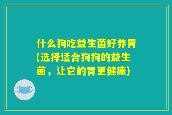什么狗吃益生菌好养胃(选择适合狗狗的益生菌，让它的胃更健康)
